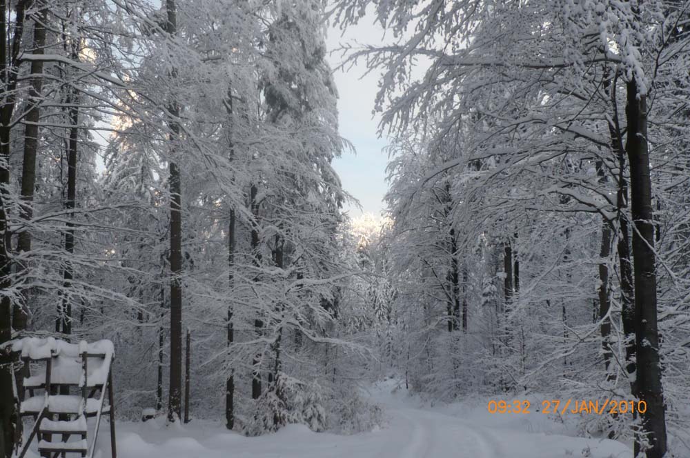 winterwanderung_cerchov_gross_05.jpg