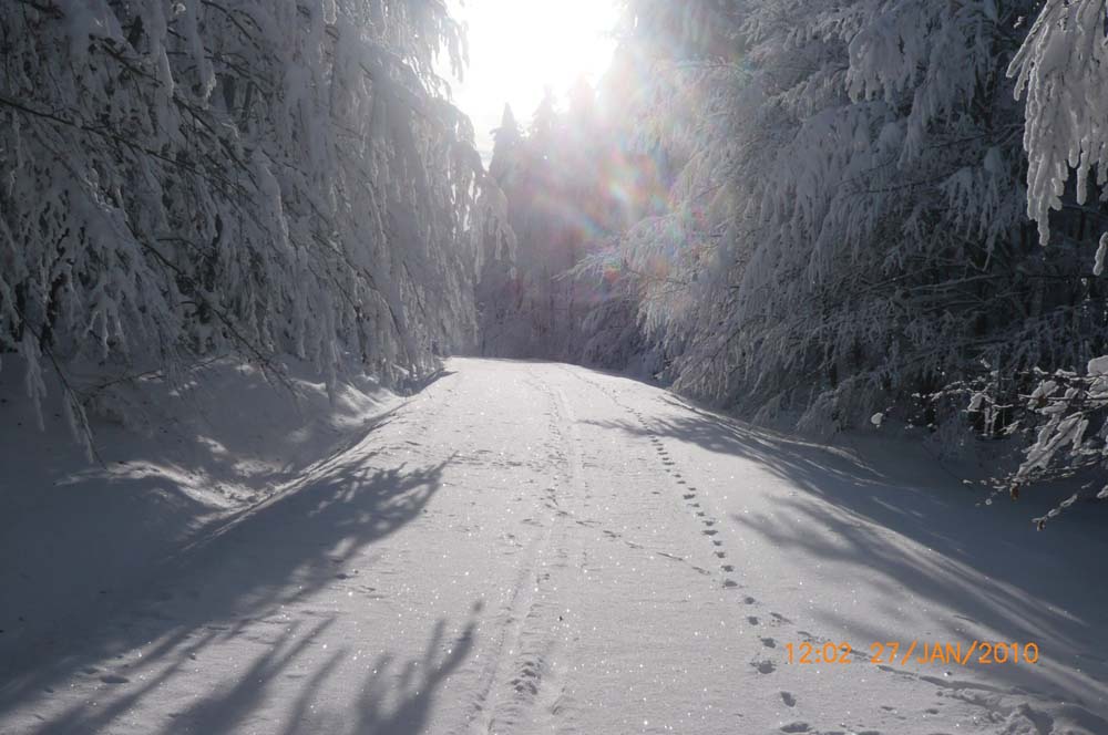 winterwanderung_cerchov_gross_38.jpg